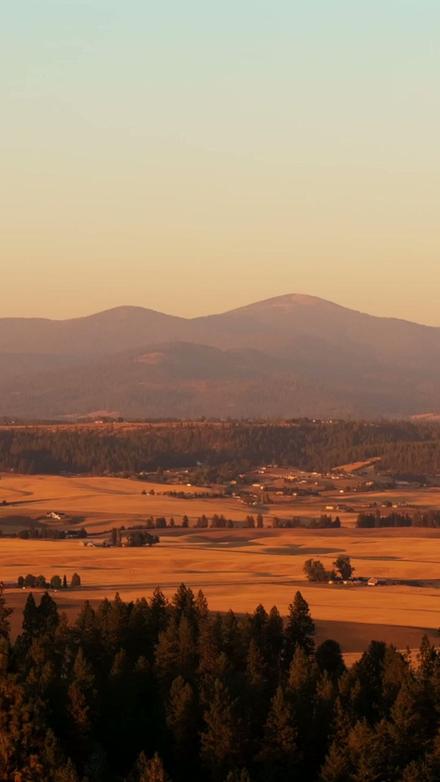 Vertical video still of golden hills at sunset.